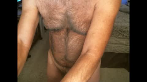 Hairy pecs online show from 11/13/24, 09:33