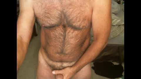 Hairy pecs online show from 11/14/24, 09:49