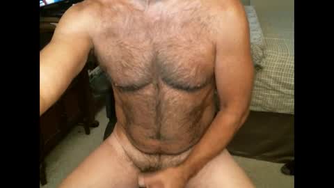 Hairy pecs online show from 11/21/24, 08:37