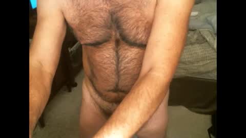 Hairy pecs online show from 11/27/24, 09:38