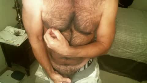 Hairy pecs online show from 11/26/24, 04:46