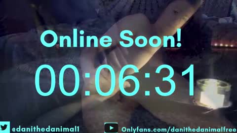 danithedanimal online show from 12/07/24, 01:52