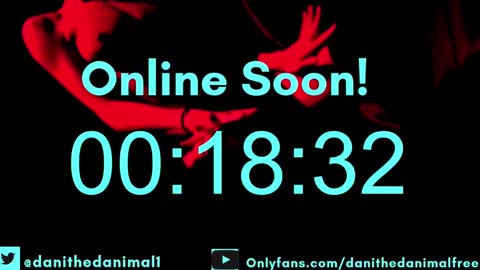 danithedanimal online show from 12/09/24, 03:33