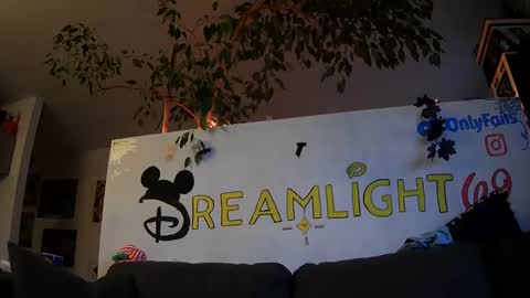 Dreamlight online show from 11/28/24, 12:45