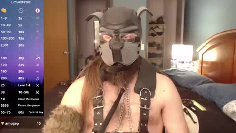 kinkywolf87 online show from 11/12/24, 06:34