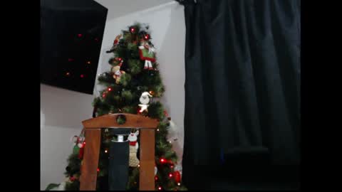 lylii_evans online show from 12/19/24, 12:30