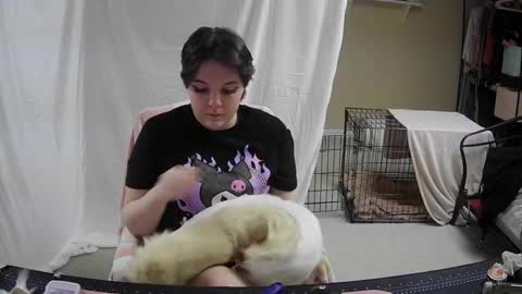 Puppy online show from 01/06/25, 03:38