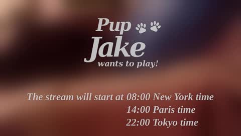 Pup Jake wants to play online show from 12/25/24, 12:09