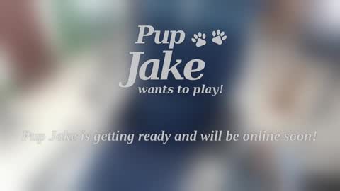 Pup Jake wants to play online show from 01/05/25, 12:53