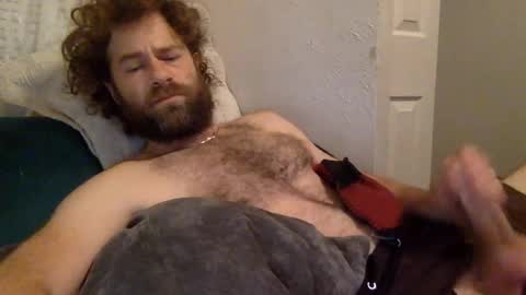 tigerzaddy online show from 12/19/24, 02:02