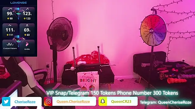 cheriserozequeen online show from 12/22/24, 10:28