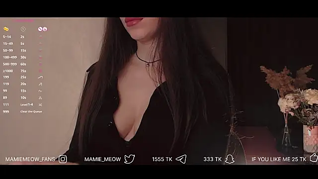 Mamiemeow online show from 01/28/25, 02:23